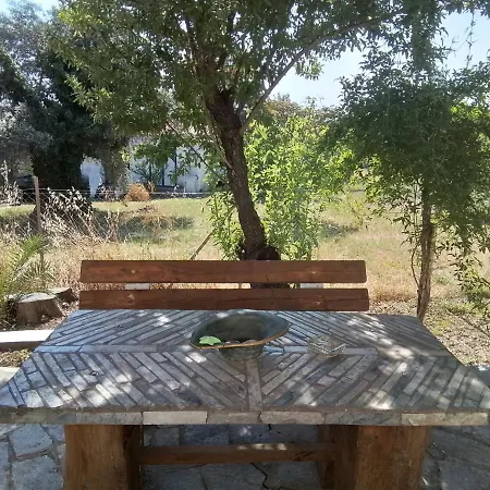 Jimmys Nature House * Metamorfosi (Sithonia)