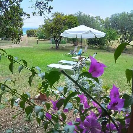 Jimmys Nature House Holiday home