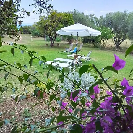 Jimmys Nature House Metamorfosi (Sithonia)