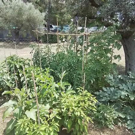 Jimmys Nature House Holiday home Metamorfosi (Sithonia)