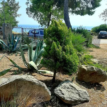 Jimmys Nature House