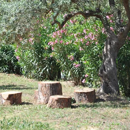 Case de vacanță Jimmys Nature House