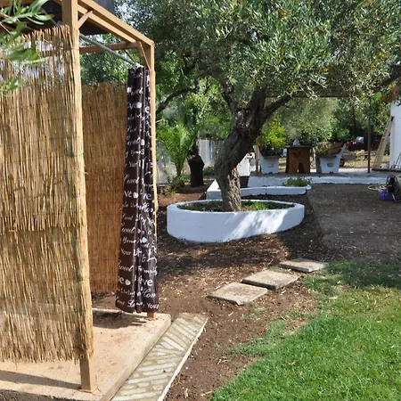 Jimmys Nature House *