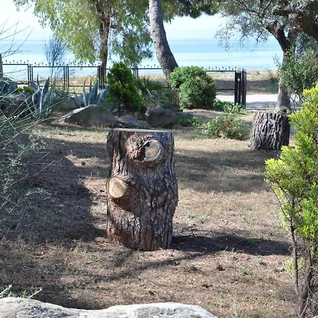 Jimmys Nature House Metamorfosi (Sithonia)