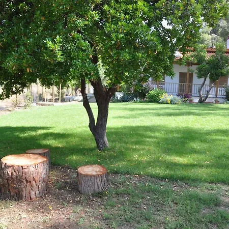 Case de vacanță Jimmys Nature House Metamorfosi (Sithonia)